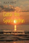 Catch the Spark Within: Transform a Mere Existence Into a Joy-Filled Authentic Life